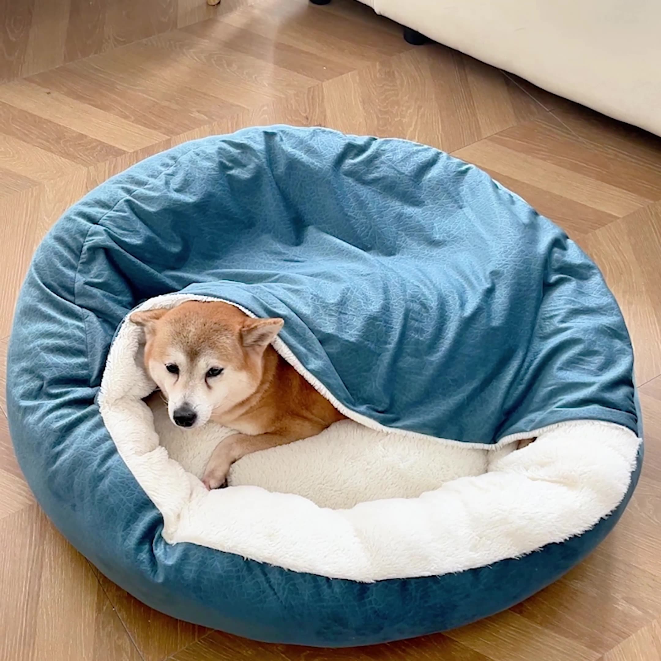 10 Best Orthopedic Pet Beds for Senior Dogs