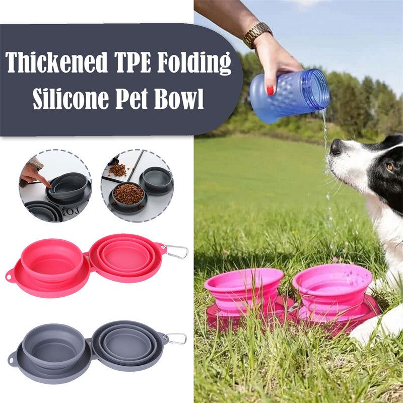 Luxury Convenience for Pets on the Move