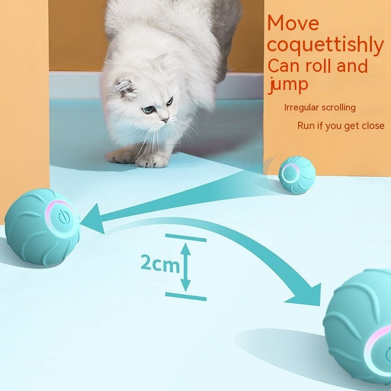 Interactive Cat Ball - Rechargeable Smart Toy for Active Play & Exercise