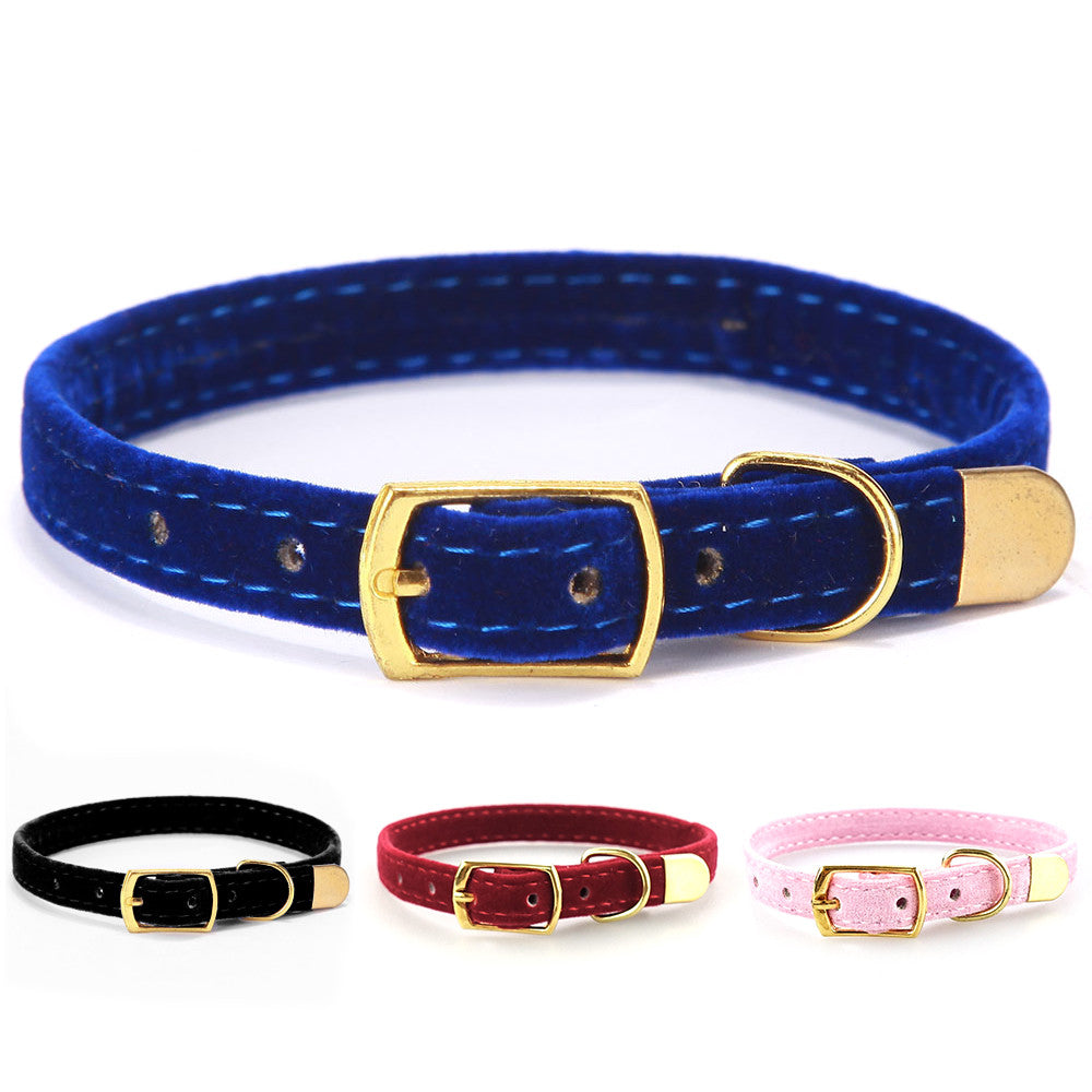 Velvet Soft Touch Cat Collar – Bright, Beautiful & Lightweight in Vibrant Colours