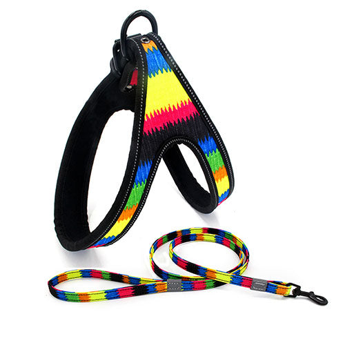 Durable Nylon Dog Harness – Adjustable, Strong & Comfortable