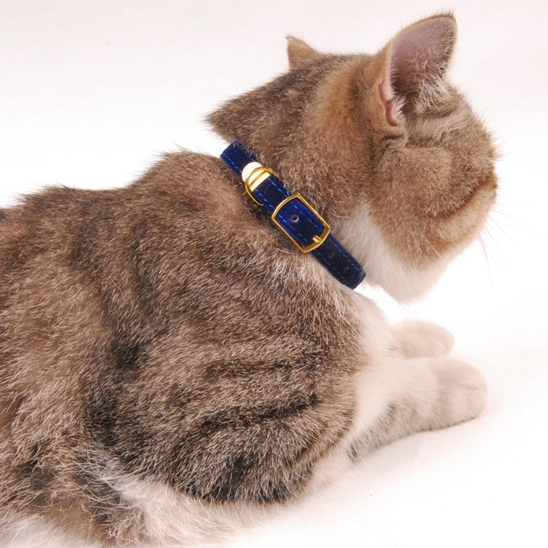 Velvet Soft Touch Cat Collar – Bright, Beautiful & Lightweight in Vibrant Colours