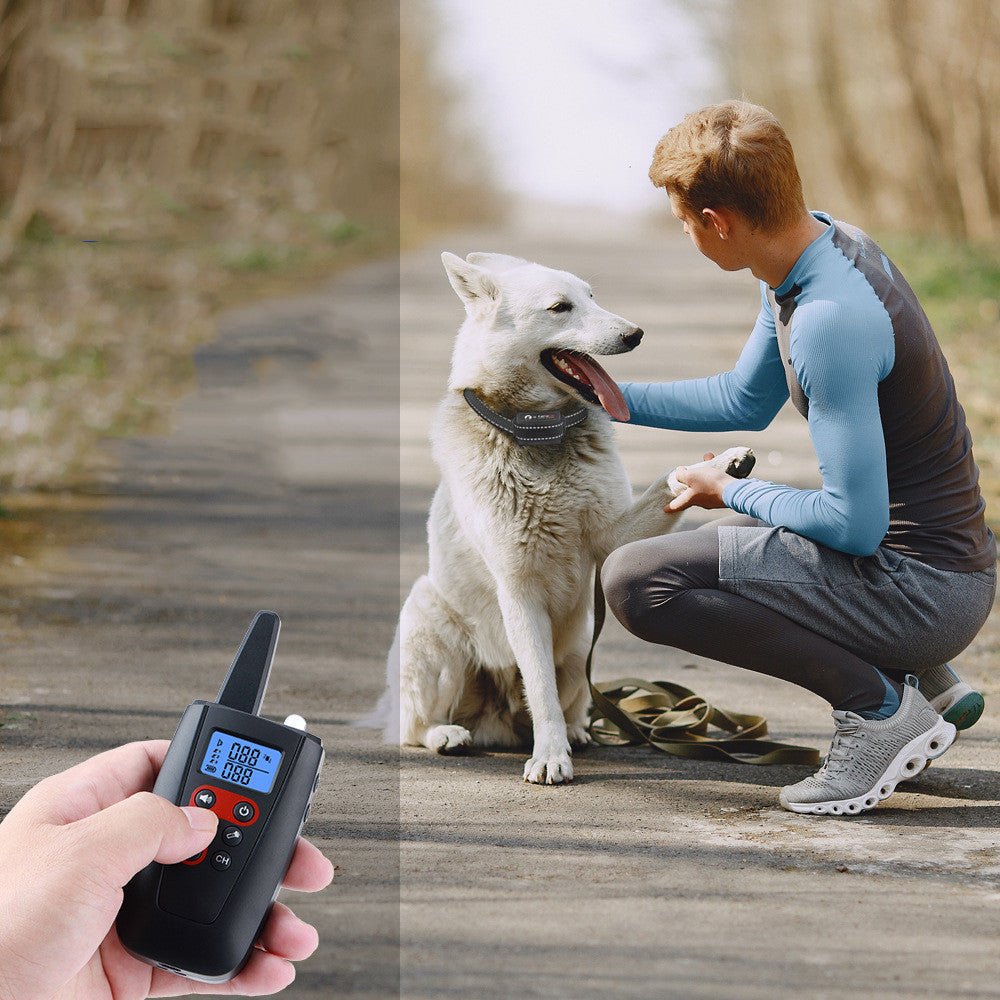 Anti‑Bark Dog Collar – Easy, Effective Training