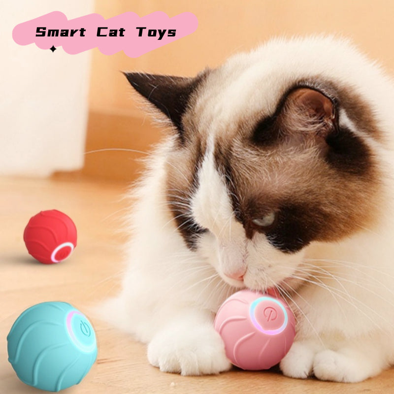 Interactive Cat Ball - Rechargeable Smart Toy for Active Play & Exercise