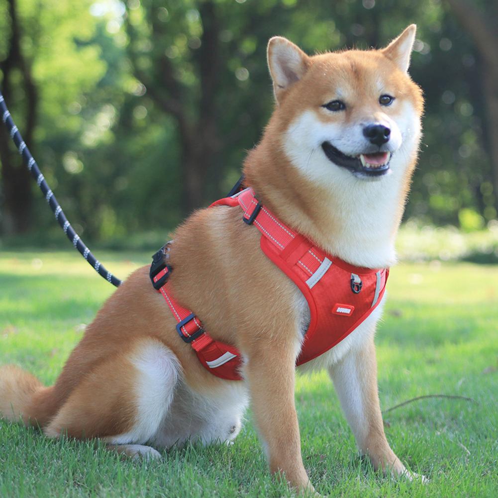 Reflective No‑Pull Dog Harness – Breathable Mesh, Adjustable Vest for Safe & Comfortable Walks