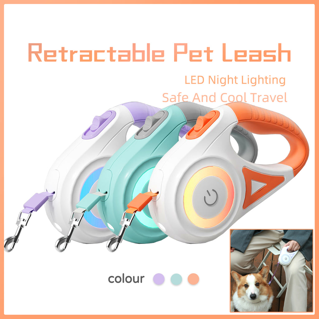 Retractable Dog Leash with One-Button Brake | Small to Medium Dogs