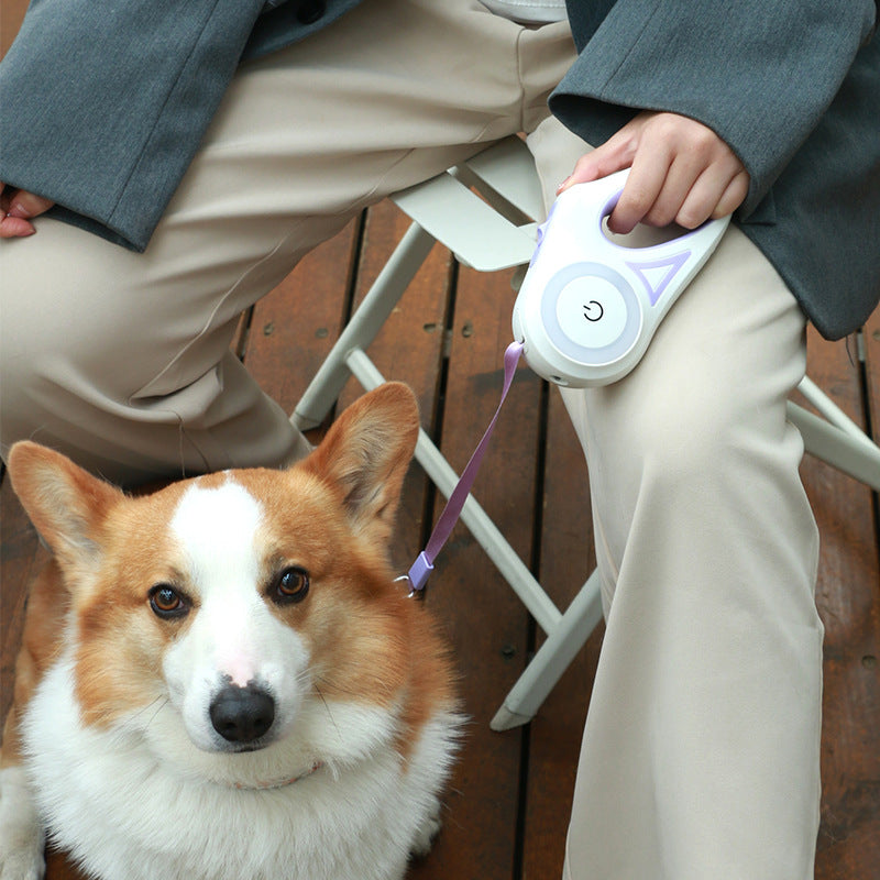 Retractable Dog Leash with One-Button Brake | Small to Medium Dogs