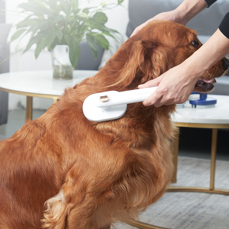 Effective Pet Hair‑Removal Comb for Dogs & Cats