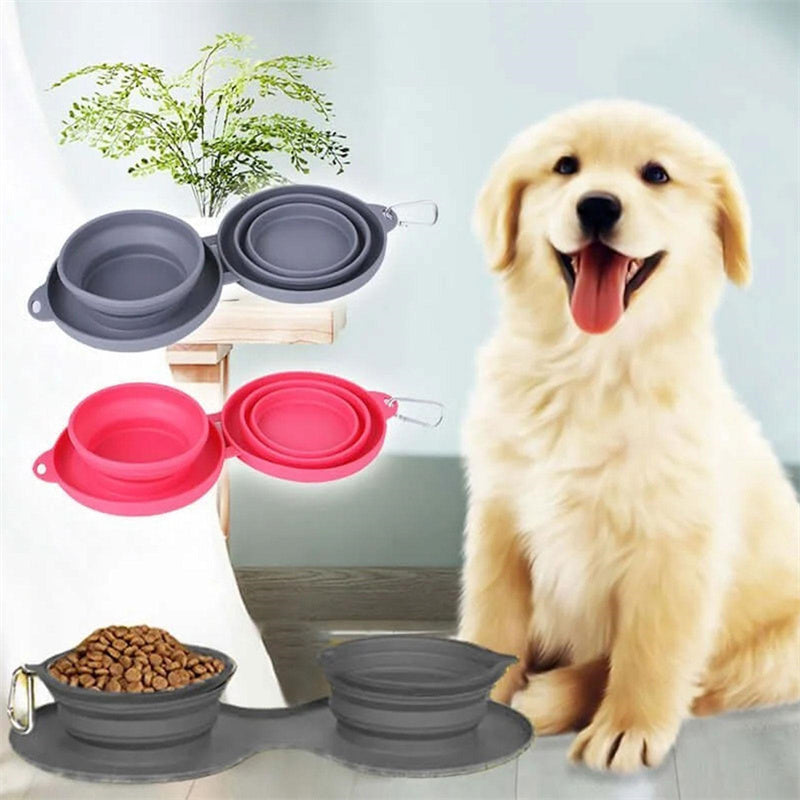 Luxury Convenience for Pets on the Move