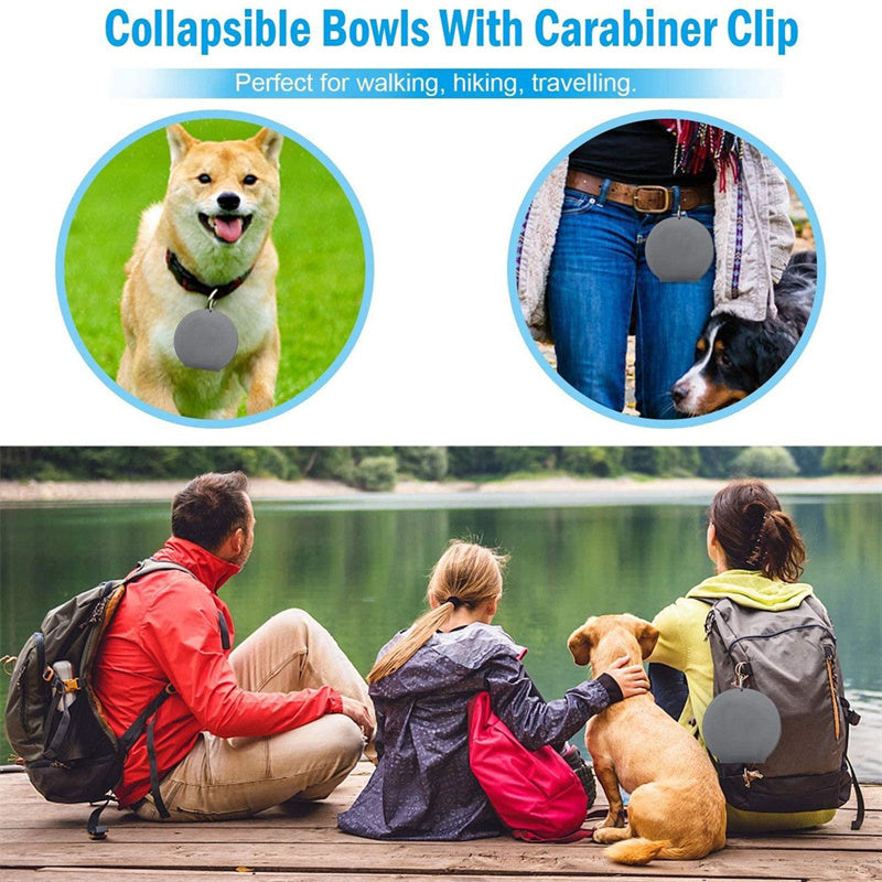 Luxury Convenience for Pets on the Move