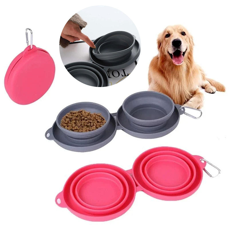 Luxury Convenience for Pets on the Move