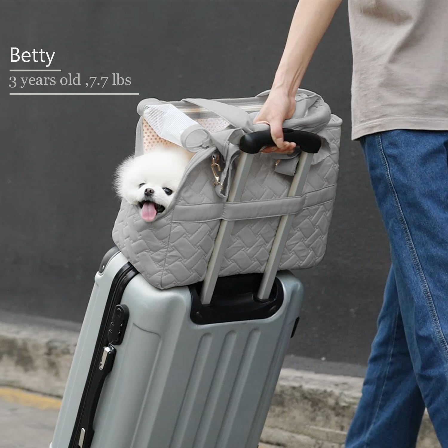 Handbag-Style Pet Carrier for Smaller Companions | Up to 5 kg