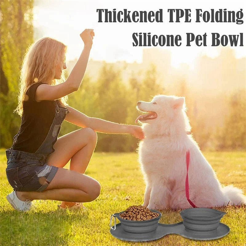 Luxury Convenience for Pets on the Move