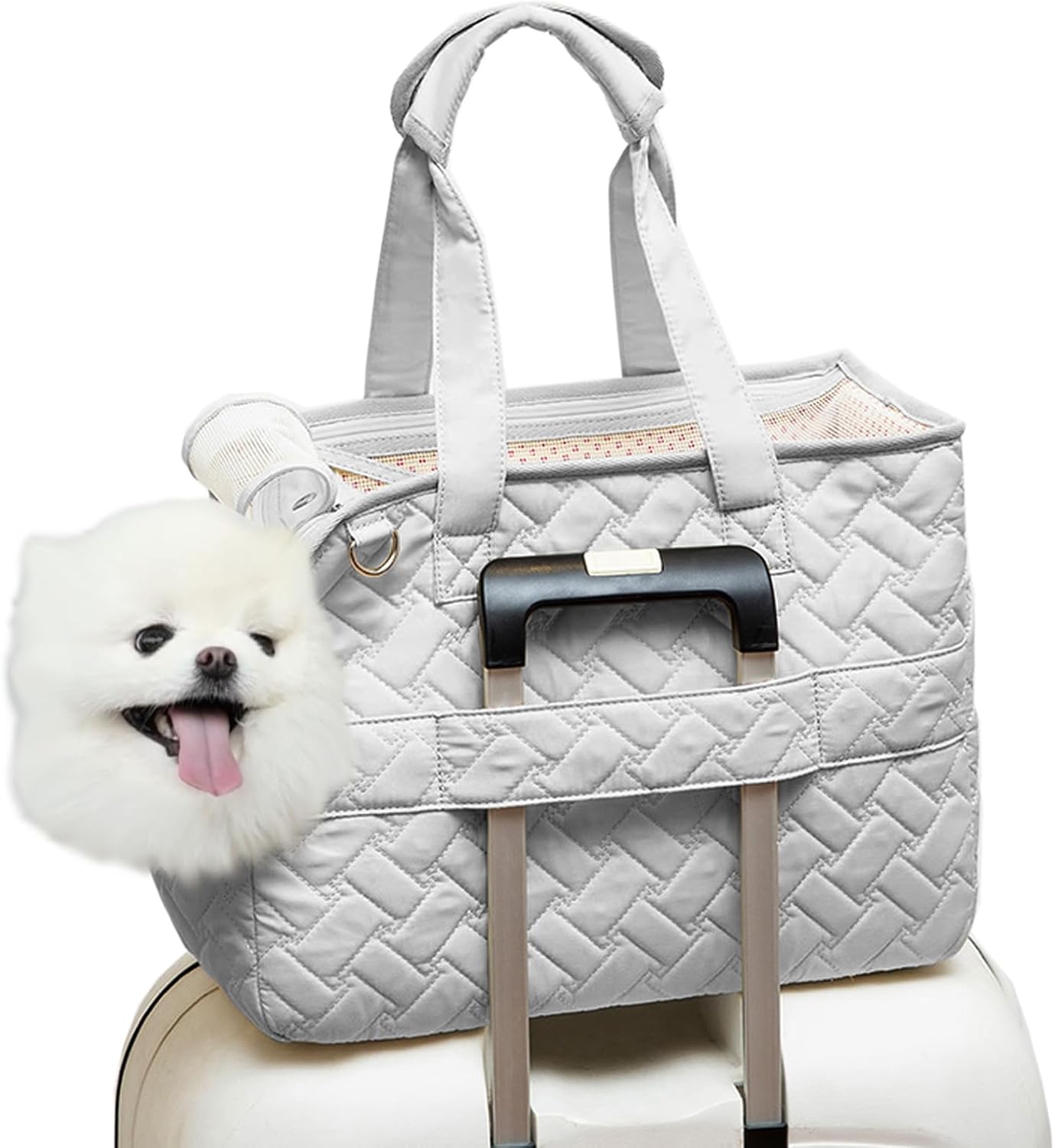 Handbag-Style Pet Carrier for Smaller Companions | Up to 5 kg
