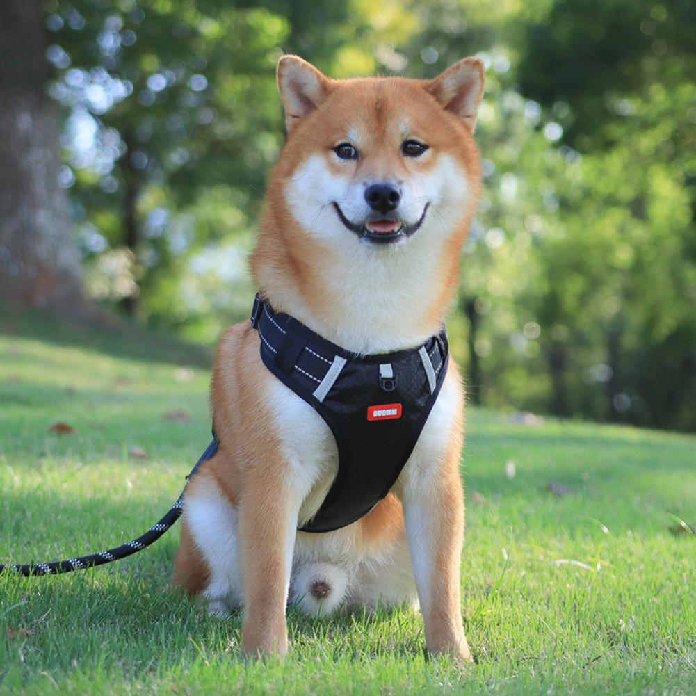 Reflective No‑Pull Dog Harness – Breathable Mesh, Adjustable Vest for Safe & Comfortable Walks